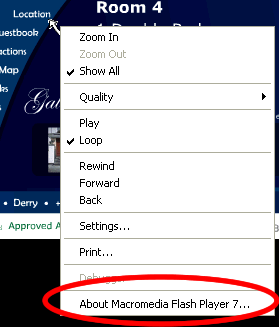 right-click popup menu if you have Flash